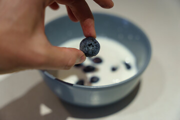 Berry Bliss: Hands Holding Fresh Blueberries Over a Bowl of Kumis. Hands holding a single...