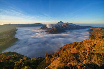 Bromo active volcano at sunrise,Tengger Semeru national park, East Java, Indonesia - 677605646