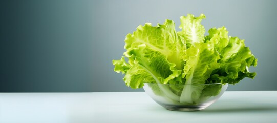 green salad leaves in a glass bowl empty space horizontal banner