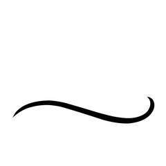 Hand drawn lettering and calligraphy swirls, squiggles. Vector ink decorations for composition