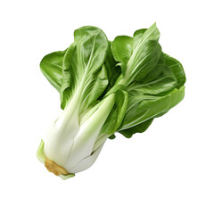 Fresh bok choy isolated on transparent background
