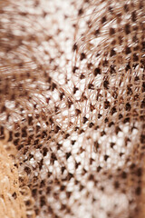 Natural looking blonde wig close-up details, natural hair, extension system