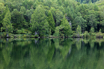 Shiga Highlands - Early morning view of Kido Pond in summer.