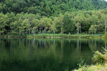 Shiga Highlands - Early morning view of Kido Pond in summer.