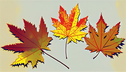 Obraz premium Top view assortment colored autumn leaves