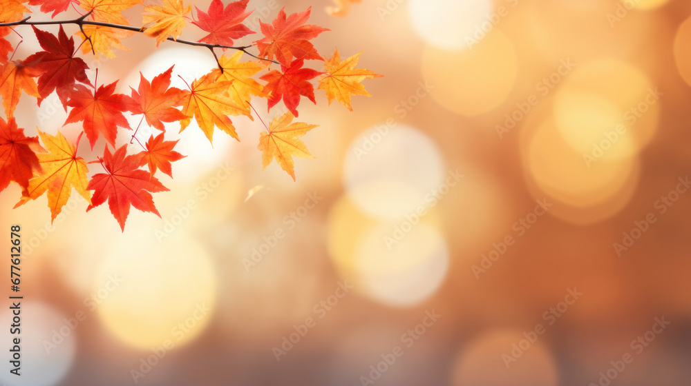 Poster autumn background with shadow of the maple tree leaves on a wall. abstract autumnal scene.