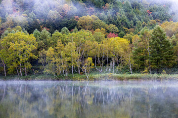 View of autumn leaves at Kido Pond shrouded in autumn morning fog.