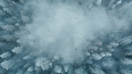 serene forest snowfall calm snowy illustration canopy cold, snow branch, branches scenery serene forest snowfall calm snowy