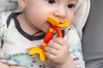 A child caucasian boy at the age of one year bites a dental toy massager teether. Itching of the...