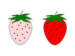 two strawberries, one young and one ripe