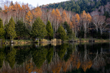 Late autumn scenery of Shiga Kogen Kido Pond.