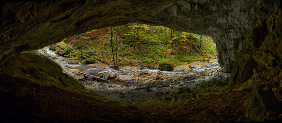 Cave opening in the forest