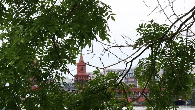 plants in front of the famous oberbaum bridge in berlin video