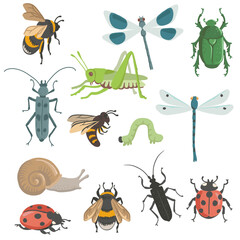 vector drawing set of insects, bugs, dragonflies, bee, caterpillar and grasshopper isolated at white background, hand drawn illustration