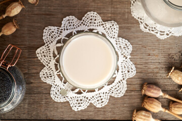 Obraz na płótnie Canvas Homemade vegan poppy seed milk in a glass cup