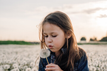 Adorable little lady standing in meadow full of white dandelions with one flower in hand, going to blow fluffy seeds.