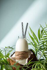 Coconut milk, lactose free product, healthy food ingredient
