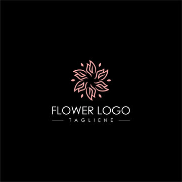 Floral hand drawn logo template vector in luxury elegant style