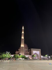 state monument at night