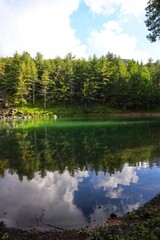 lake and forest