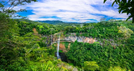 Fotobehang stunning exotic nature of tropical paradise of Mauritius island - Chamarel waterfall - popular touist atraction and beauty of nature © Freesurf