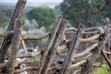 Fototapeta na wymiar Rustic wooden fence in the countryside details
