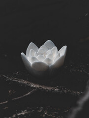 Candle in the shape of a white lotus flower