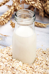 Obraz na płótnie Canvas Alternative types of milks. Vegan substitute dairy milk. oat