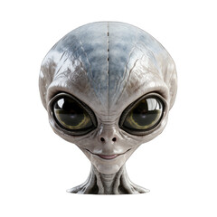 Gray Alien with Large Eyes Isolated on Transparent or White Background, PNG