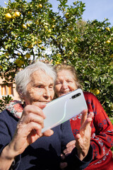 Elderly Sisters Exchanging Greetings on cellphone outdoors. Vertical, copy space.