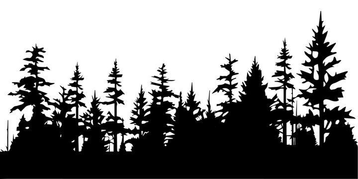 Forest vector silhouette illustration black color