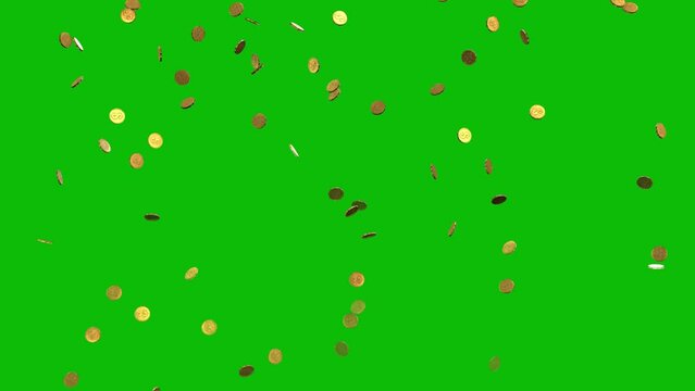 Glowing gold coins falling from the top of the frame on green screen 3D animation