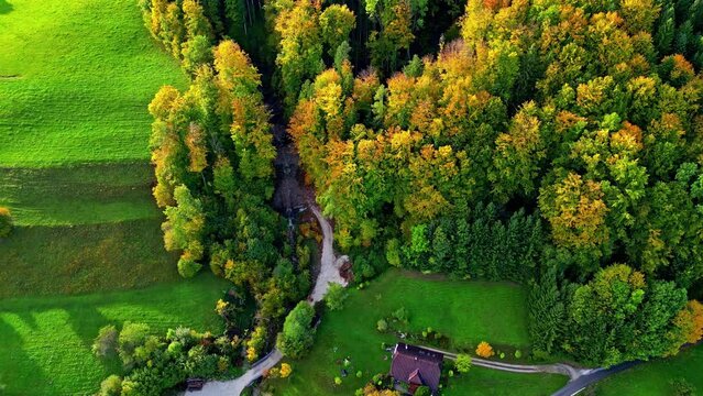 Aerial view of autumn foliage in the mountain forest of the Austrian Alps, Europe