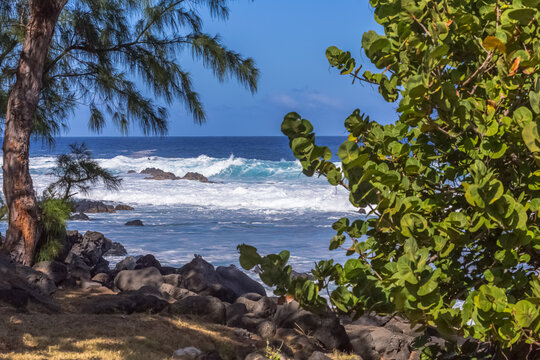 Vagues &agrave; l&rsquo;Etang-Sal&eacute;, &icirc;le de la R&eacute;union 