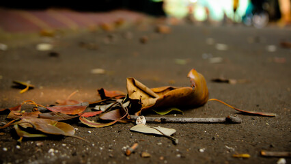 Wallpaper and Background Autumn Leaves, Dry leaves, leaf litter, piles of leaves. 