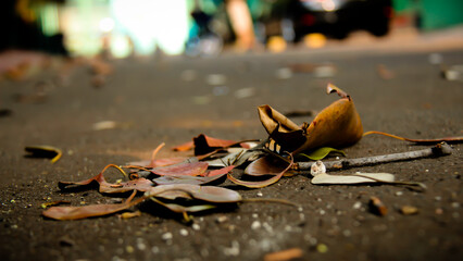 Wallpaper and Background Autumn Leaves, Dry leaves, leaf litter, piles of leaves. 
