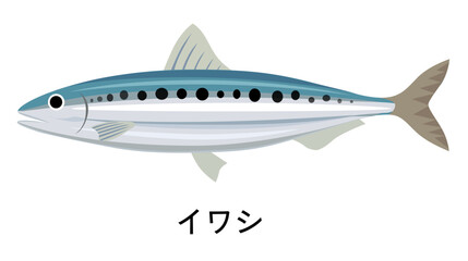 イワシのイラスト