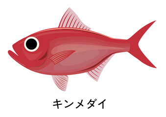 キンメダイのイラスト