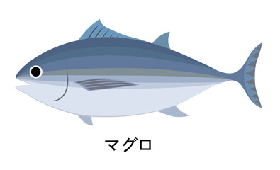 マグロのイラスト
