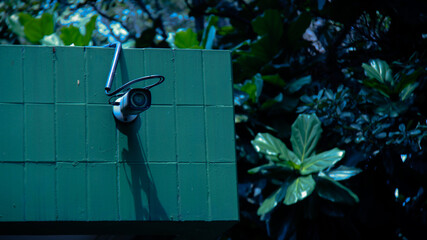 Leaf Background backdrop, background original picture original, background original identity foreground.