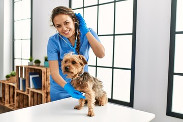 Young beautiful hispanic woman veterinarian examining dog with stethoscope at home