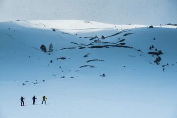 Skiers in a snowed winter landscape
