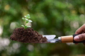 Farmers use planting spoons to scoop seedlings that grow in soil and sunlight. Plant trees to reduce global warming.