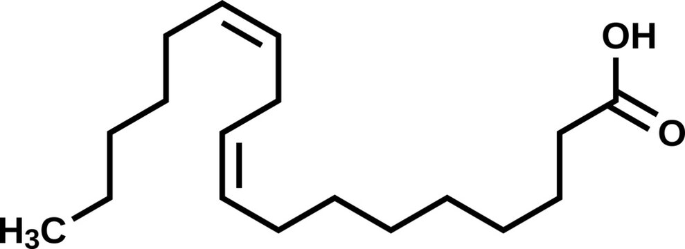 Linoleic acid С17H31COOH structural formula, vector illustration