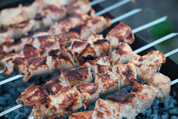 Cooking barbecue pork meat on smoking coals. Shish kebab on the grill.