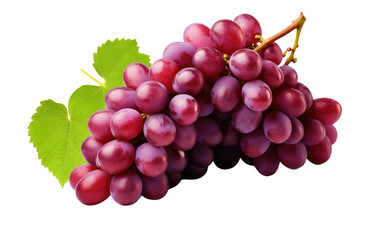 Fresh and Plump Grape Harvest On Transparent PNG