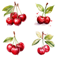 Cherry watercolor illustration set isolated on whit background