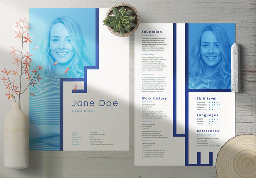 Professional Curriculum Vitae Layout