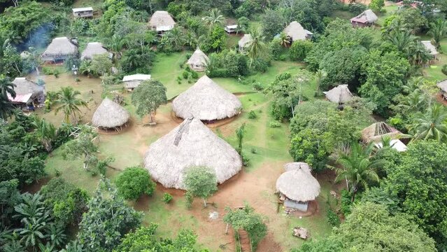 Comunidad de Ember&aacute; - Parar&aacute; Puru