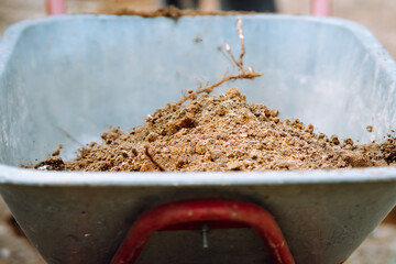 Organic soil for seedlings, seasonal work and fertilization left in garden wheelbarrow on...